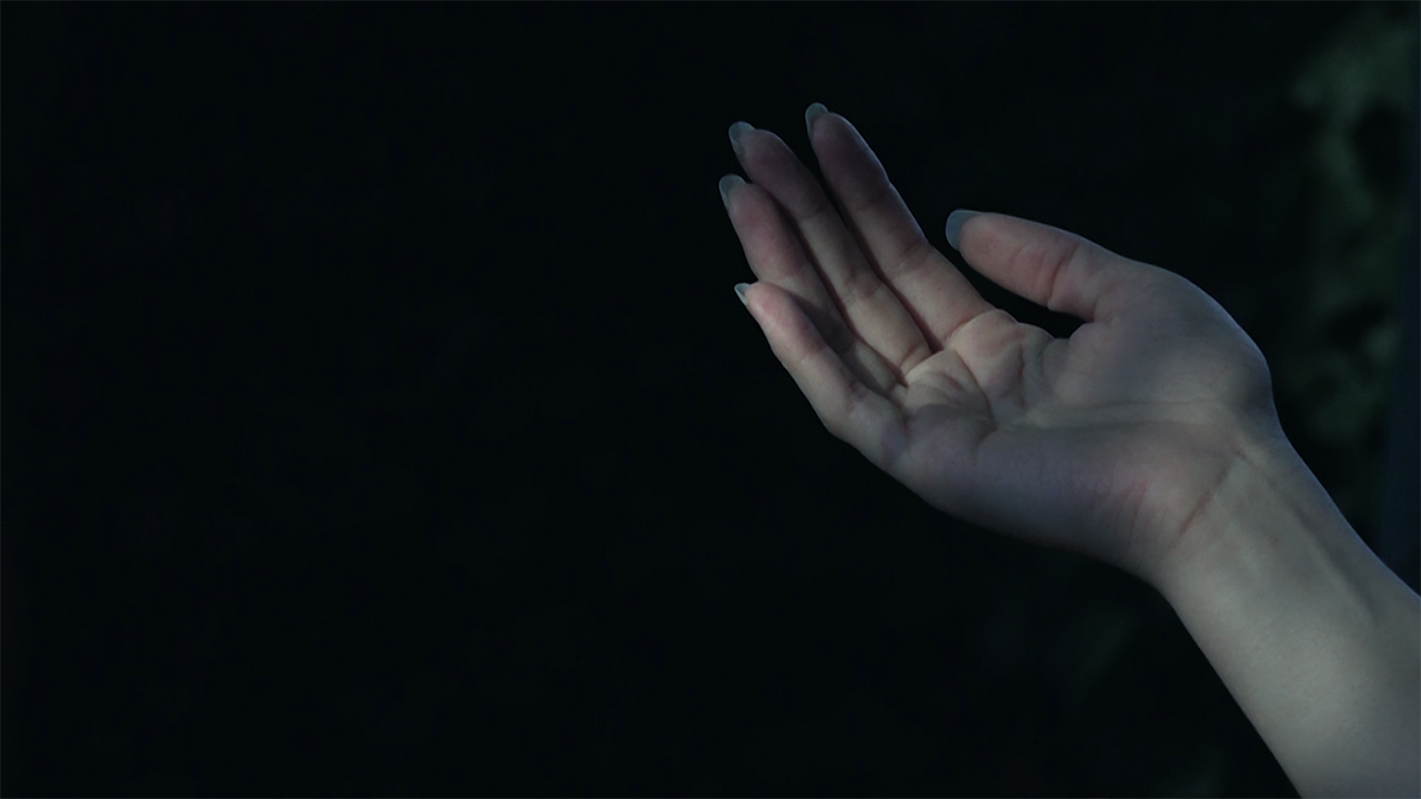 Le Poids de la Mésange, Triptyque part.2, Vidéo 4’16, frame 02’23